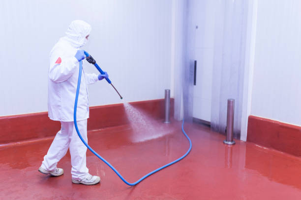 Best House Exterior Washing  in Fruitland Park, FL