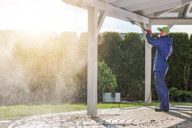 Best Solar Panel Cleaning  in Fruitland Park, FL