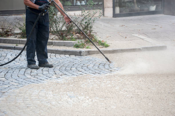 Best Sidewalk and Walkway Cleaning  in Fruitland Park, FL
