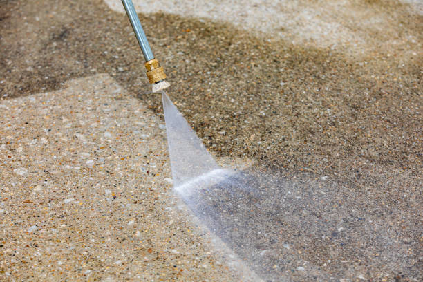 Best Pool Deck Cleaning  in Fruitland Park, FL