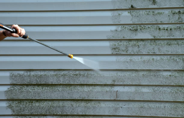 Best Fence Cleaning  in Fruitland Park, FL